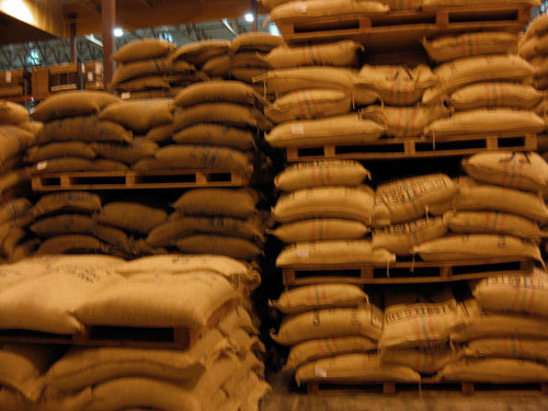 Coffee in canvas bags on pallets