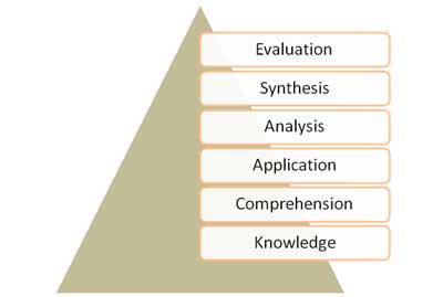 Original Cognitive Domain