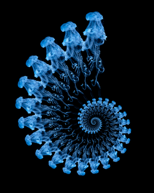 Spiral