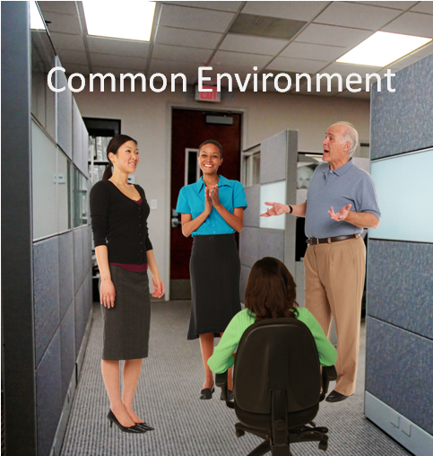 Common Environments in Social Learning